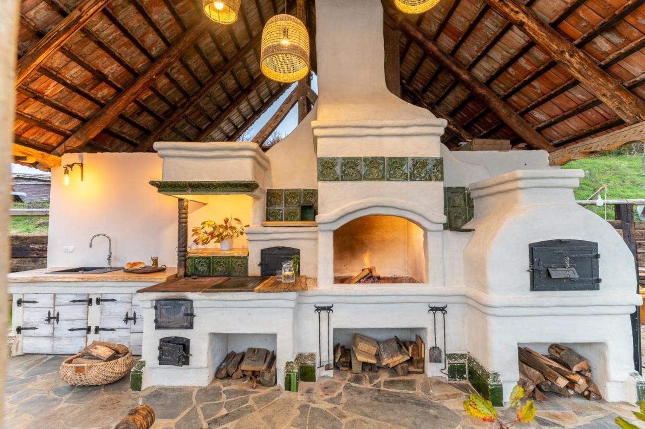 Poieni 39 Villa Poienile Izei Buitenkant foto